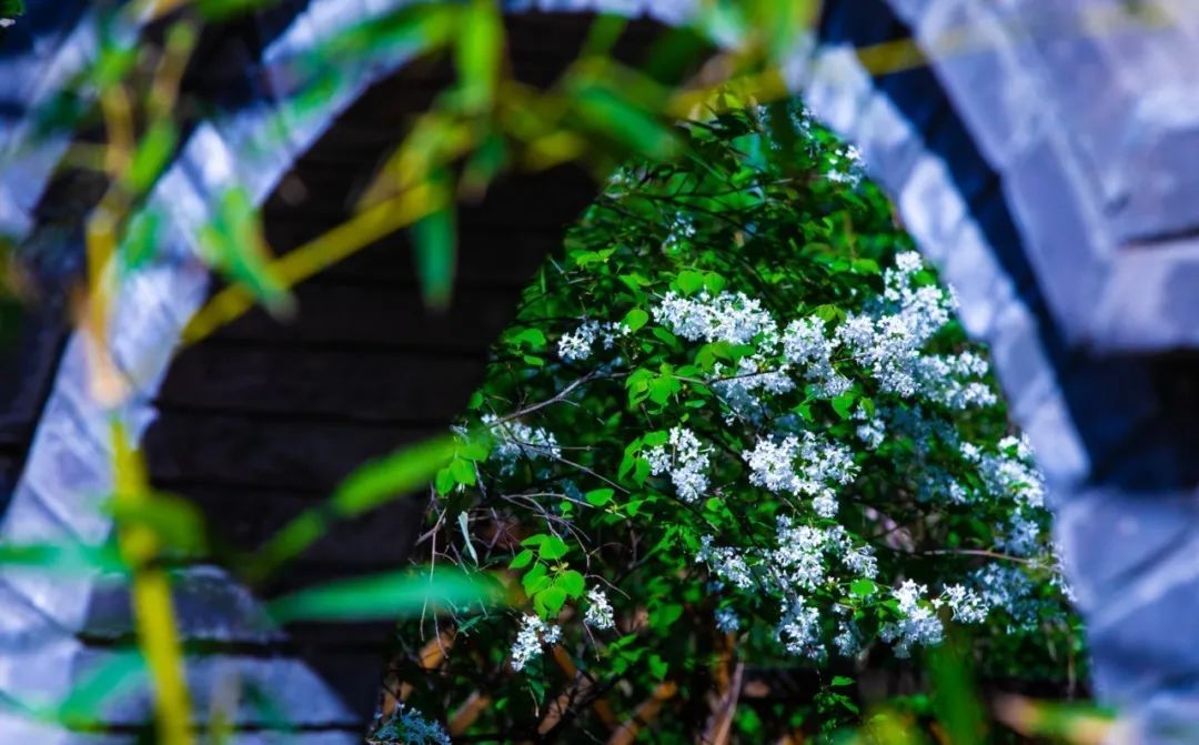 B44D96EB827BF60108A01E4F099_24FED111_1B97C.jpg?e=