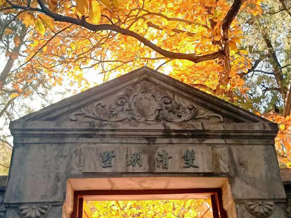 1B4A888934447F547E0BAAB33F2_4DE02917_24624