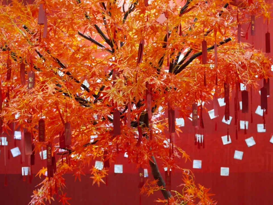 安博电竞·(中国区)官方网站