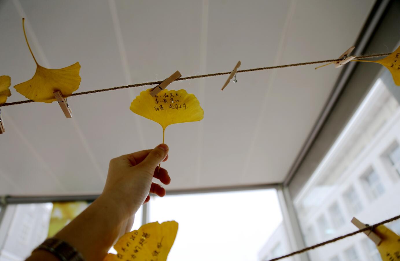 安博电竞·(中国区)官方网站