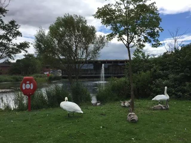 安博电竞·(中国区)官方网站