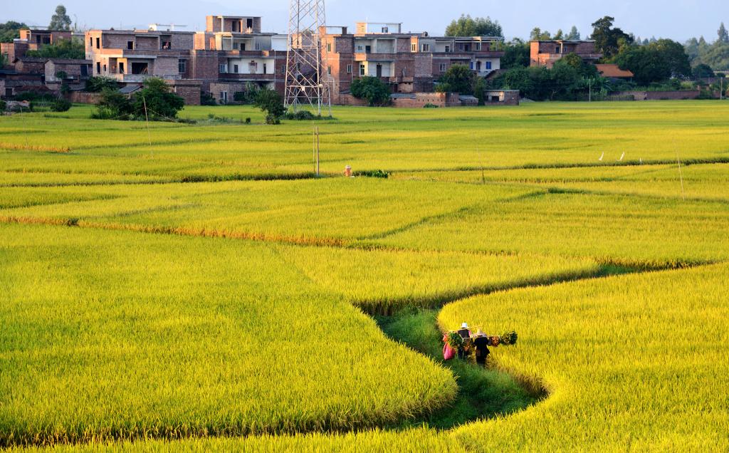 EBD9BD69282B5B139557DBE3A01_7A73A57B_265C5.jpg?e=