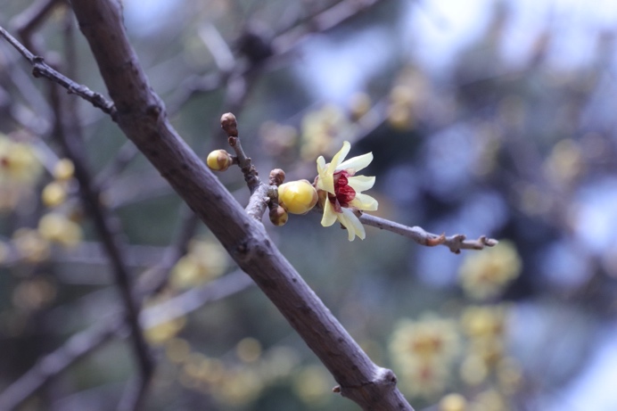 安博电竞·(中国区)官方网站
