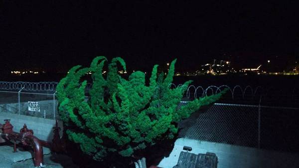 安博电竞·(中国区)官方网站