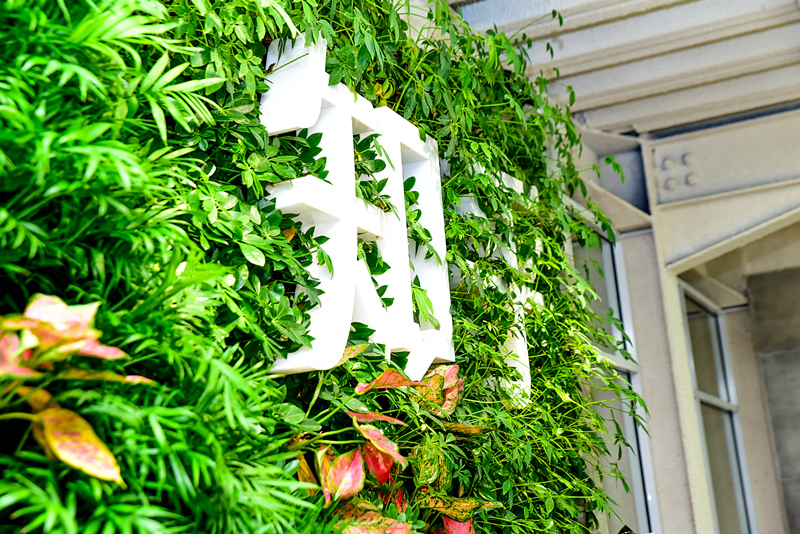 6FED7D32584C5C6E5290EAF4860_6DDC3FF7_8EF09