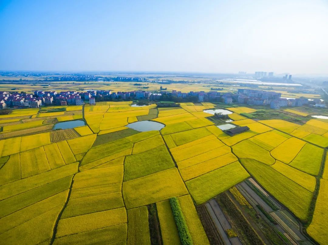 王辉：有“人气儿”，，，，，经济才有活力