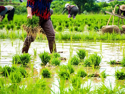 安博电竞·(中国区)官方网站