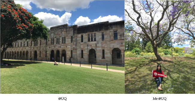 378ADE5A63E7B90DCE669491AFB_51103938_6FB21