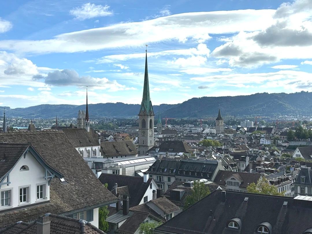 陶醉于湖光与山色，，，，，叹止于财产与立异|MBA国际商务方略@苏黎世