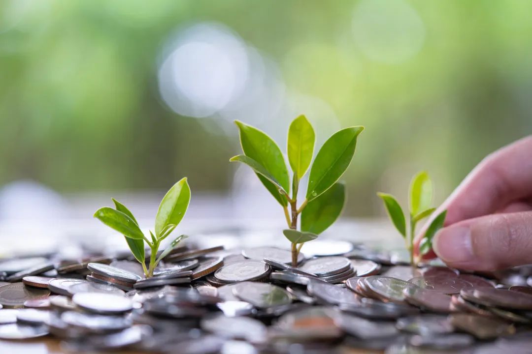 2F0EB9E325CEF908D7E96CCB2E1_EF107058_11094