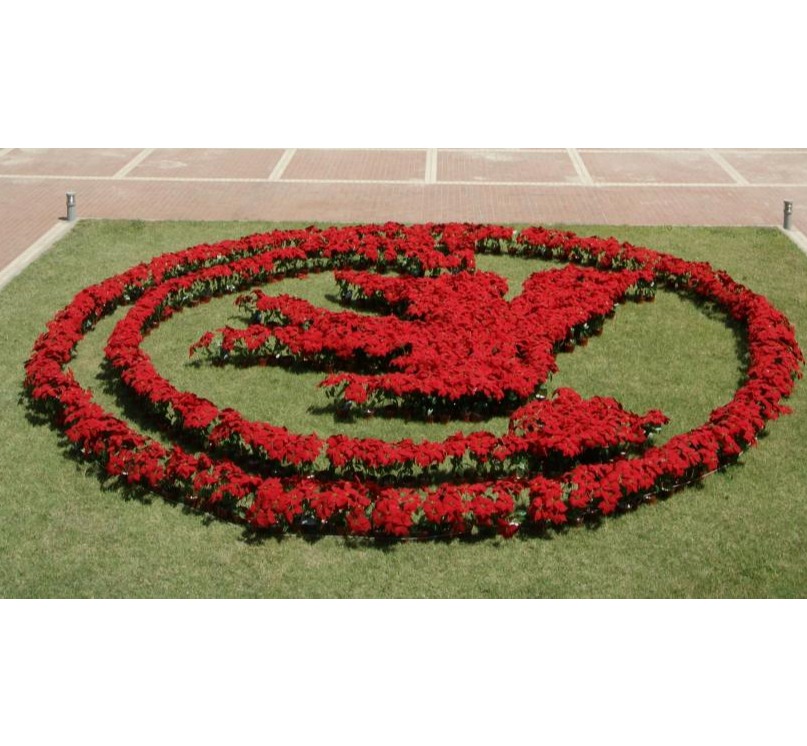 安博电竞·(中国区)官方网站