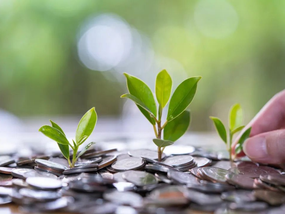 安博电竞·(中国区)官方网站