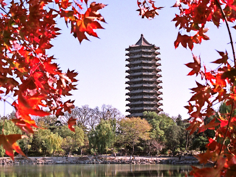  招生丨2020年北大安博电竞整日制会计、审计硕士项目报名启动