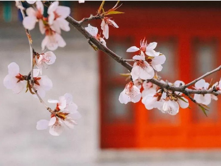 安博电竞·(中国区)官方网站