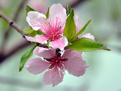 安博电竞·(中国区)官方网站