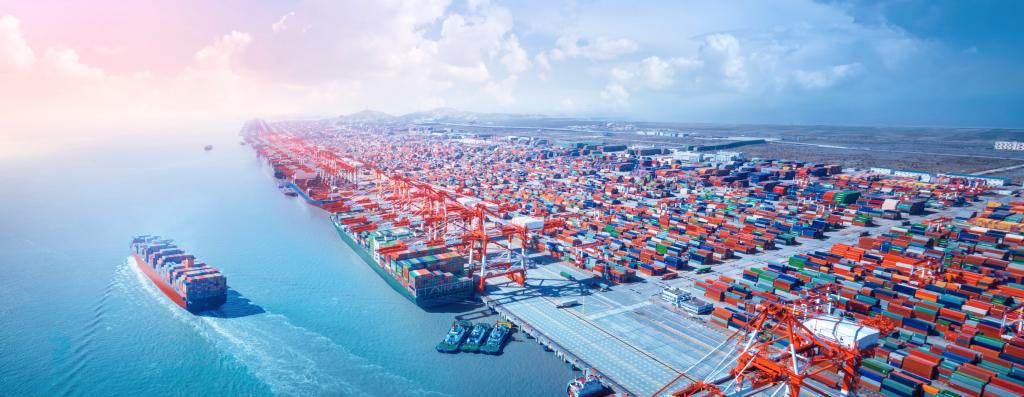 唐 遥：全球供应链和价值链会疫后重组吗？？