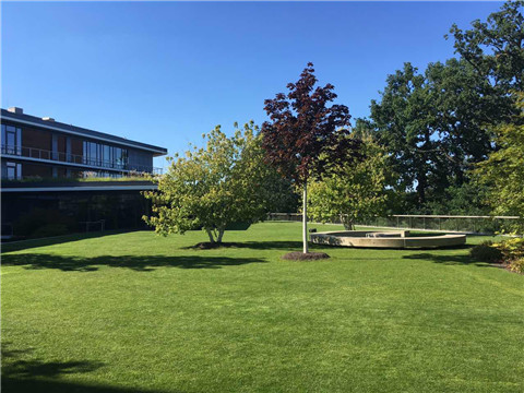 安博电竞·(中国区)官方网站