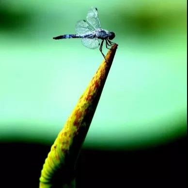 安博电竞·(中国区)官方网站