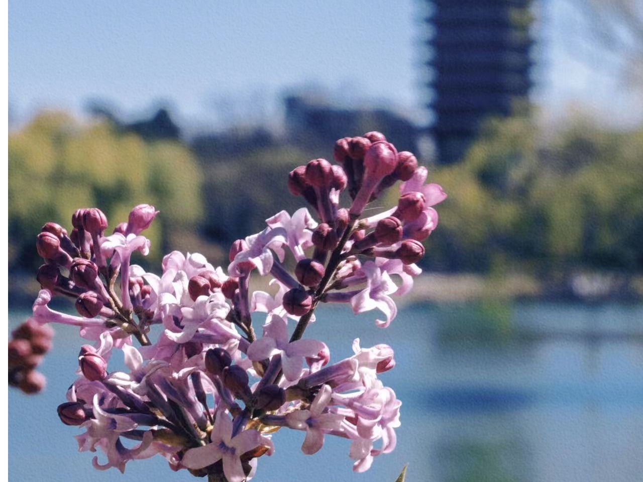 安博电竞·(中国区)官方网站