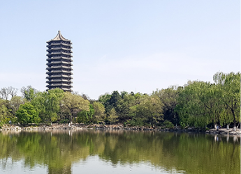 安博电竞头脑力果真课寓目指南