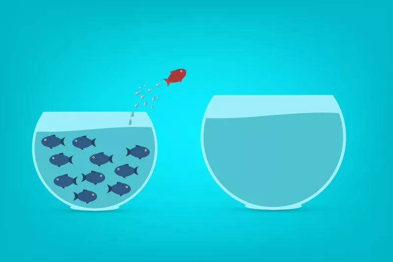 安博电竞·(中国区)官方网站