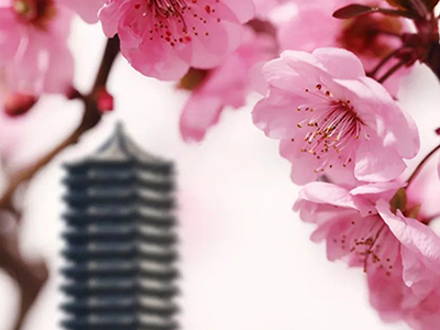 安博电竞·(中国区)官方网站