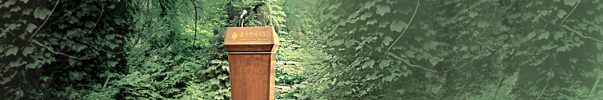 banner2_gd